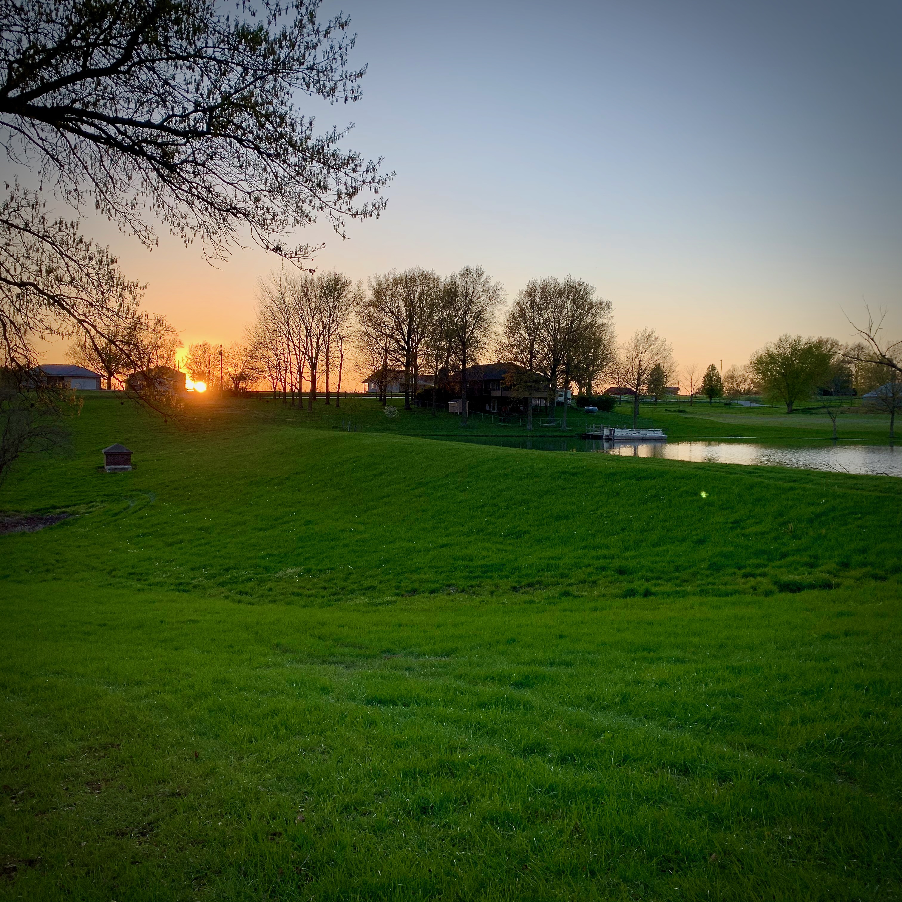 Our family farm.