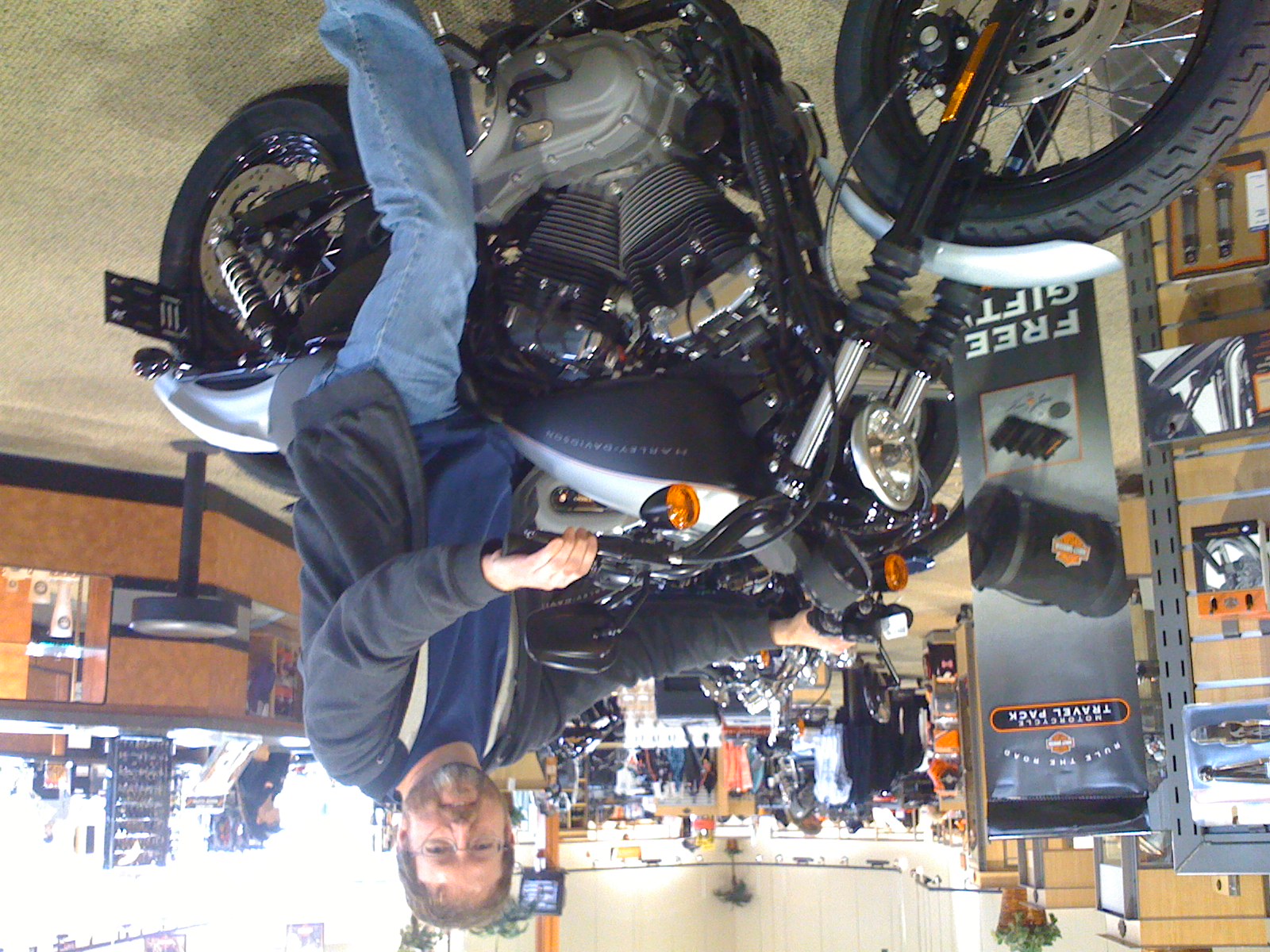 Harley Davidson Nightster